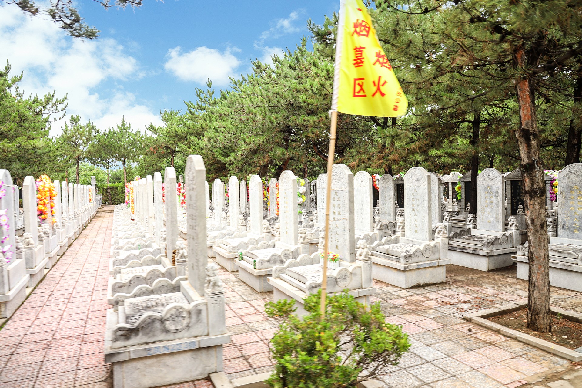 BD4A2531.JPG